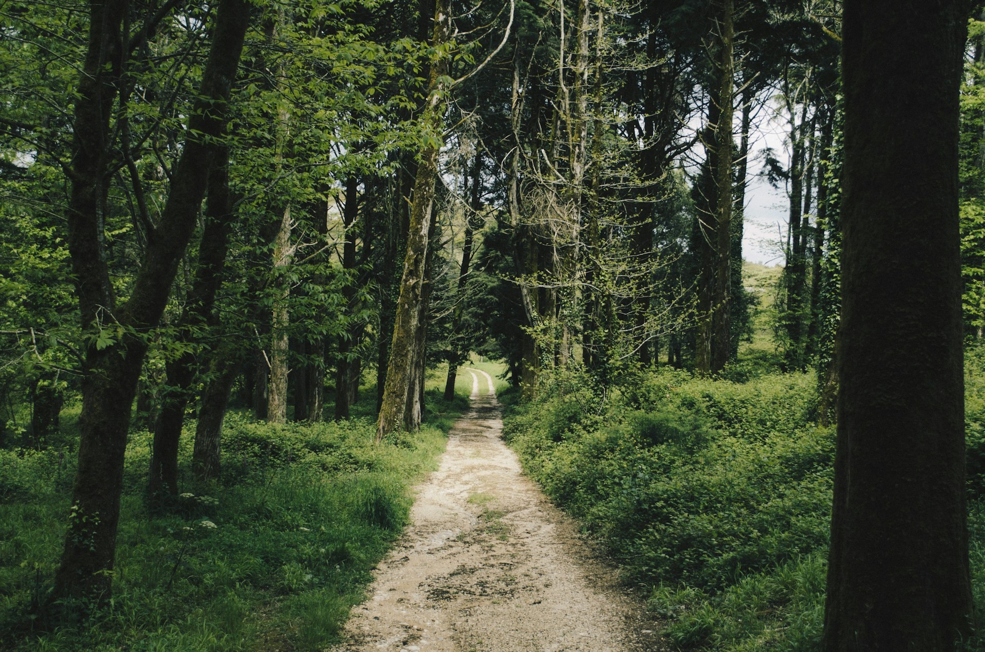 Pagewize Travels