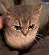 poes 2 thumbnail 1