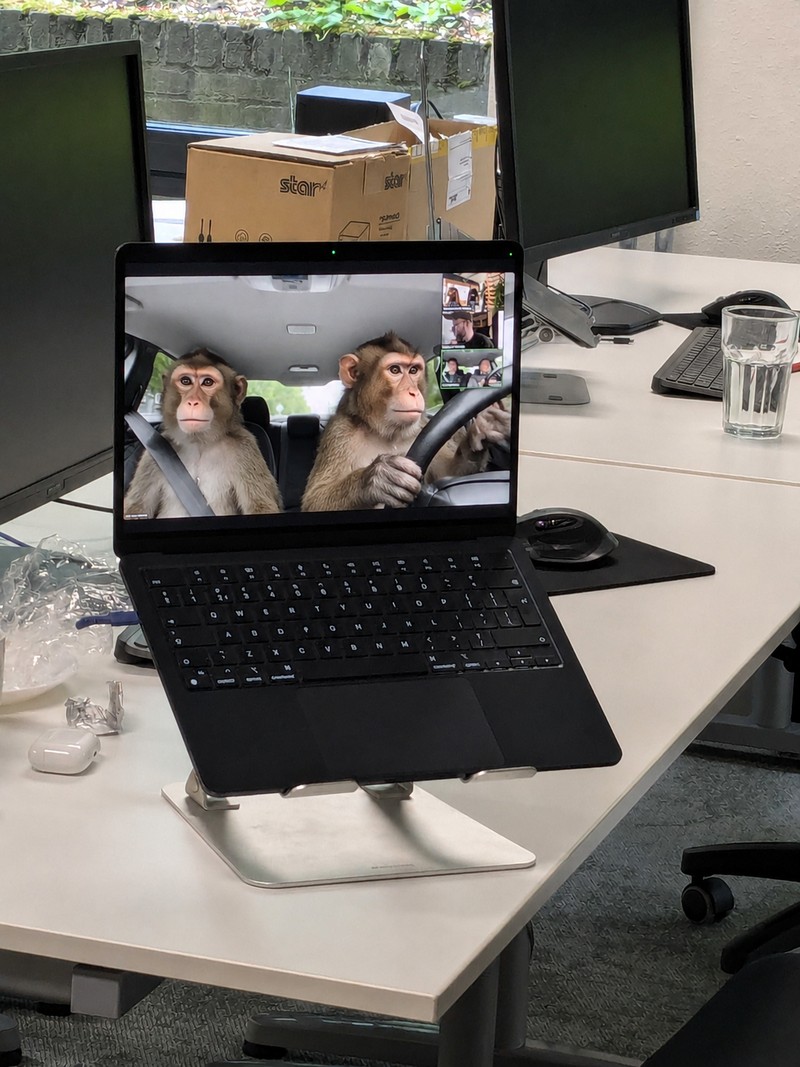 Dit is een mega lang product naam om te testen gemaakt door Kaleb Geelveld afbeelding 2